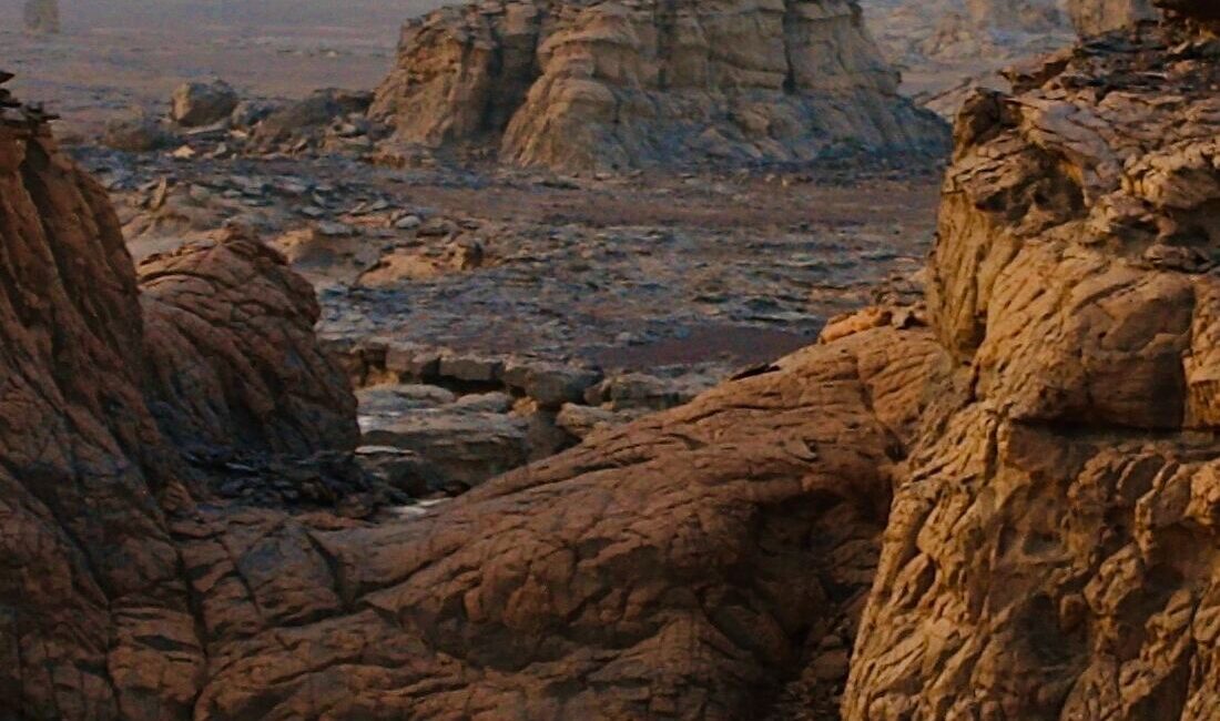 Tamanrasset small cover