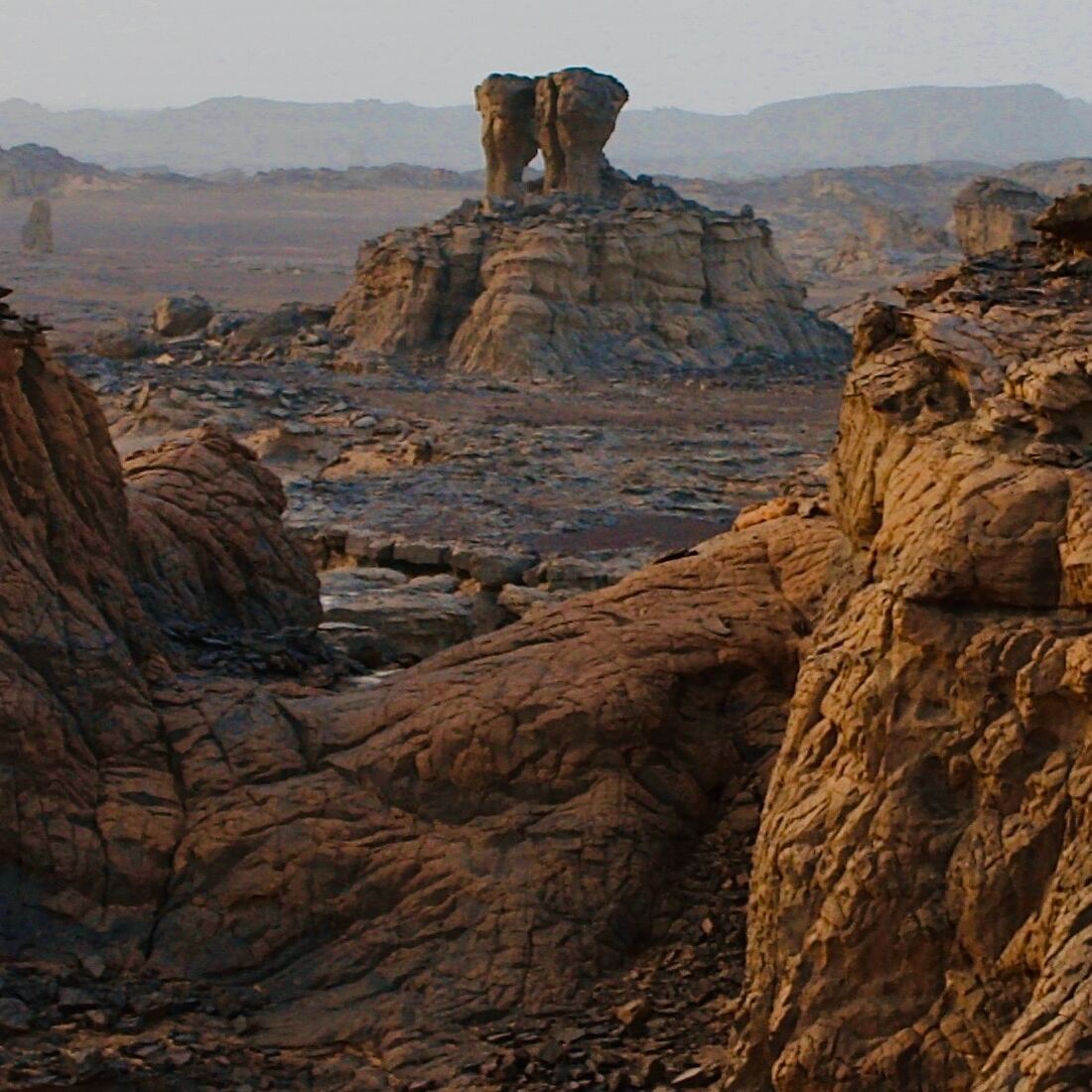 Tamanrasset small cover