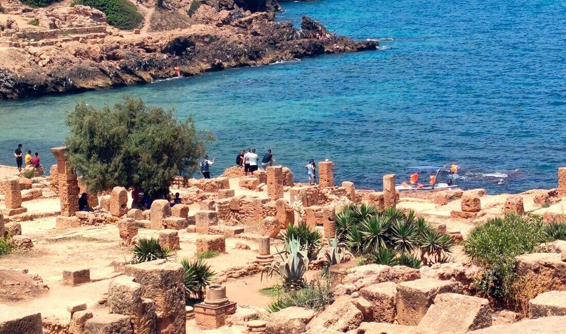 Tipaza
