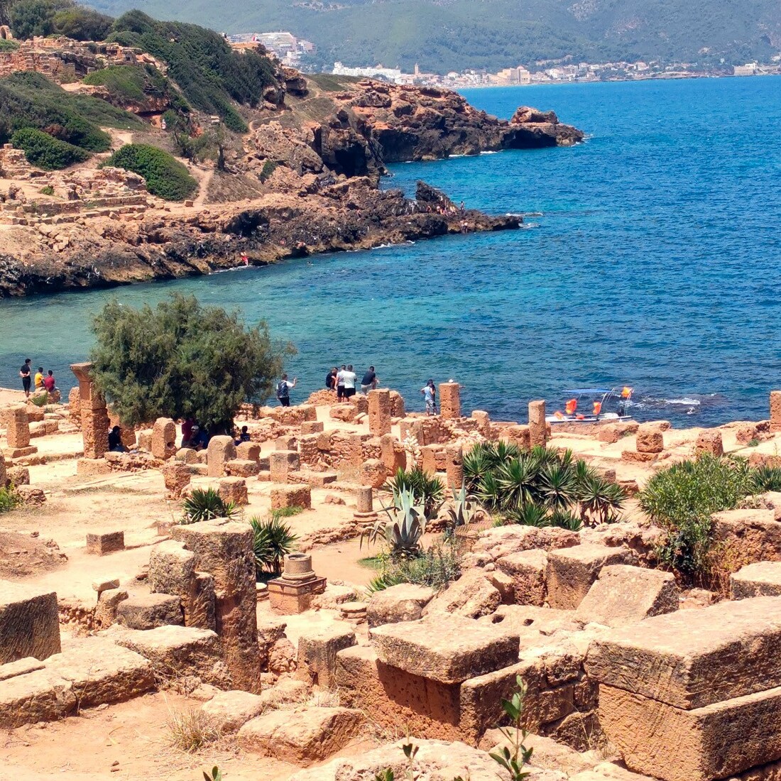 Tipaza