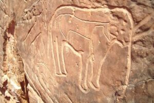 taghit gravures rupestres